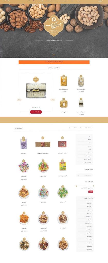 طراحی سایت آجیل شایگان
